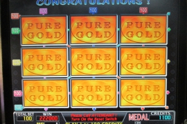 PURE GOLD　222,000枚