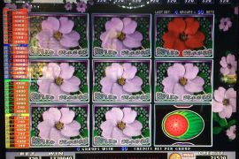 WILD ROSES THE GARDEN 4×8　1,379,040枚