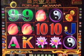 FORTUNE AROWANA　103,900枚