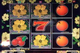 WILD ROSES THE MULTI GARDEN　238,000枚