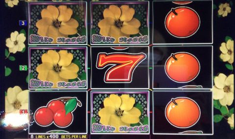 WILD ROSES THE MULTI GARDEN　238,000枚