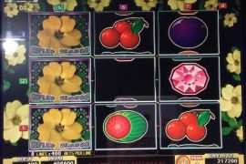 WILD ROSES THE MULTI GARDEN　408,800枚