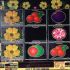 WILD ROSES THE MULTI GARDEN　408,800枚