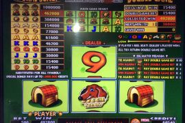 DOGGIE TREATS　492,800枚