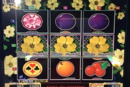 WILD ROSES THE MULTI GARDEN　476,800枚
