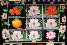 WILD ROSES THE GARDEN 　106,400枚