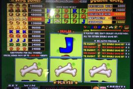 DOGGIE TREATS　312,000枚