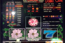 WILD ROSES THE MULTI GARDEN　326,400枚