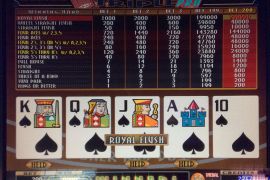 DOUBLE TRIPLE 4 OF A KIND BONUS PLUS　200,000枚
