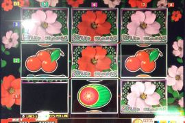WILD ROSES THE MULTI GARDEN　243,300枚