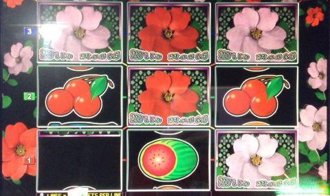 WILD ROSES THE MULTI GARDEN　243,300枚