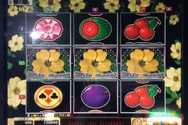 WILD ROSES THE MULTI GARDEN　730,000枚