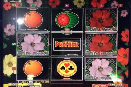 WILD ROSES THE MULTI GARDEN　204,800枚
