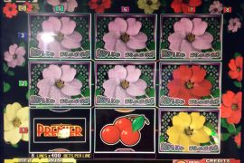 WILD ROSES THE MULTI GARDEN 1,611,600枚