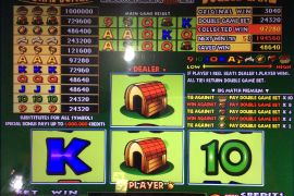 DOGGIE TREATS　145,920枚