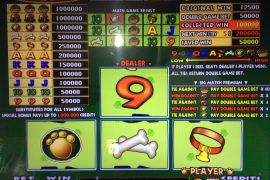 DOGGIE TREATS　150,000枚