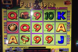 DOGGIE TREATS 233,980枚