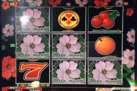 WILD ROSES THE MULTI GARDEN　258,800枚