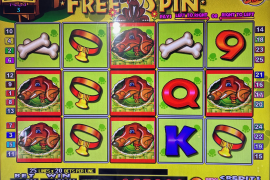 ワンちゃん6匹！