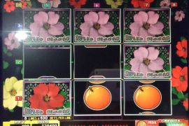 WILD ROSES THE MULTI GARDEN　320,400枚