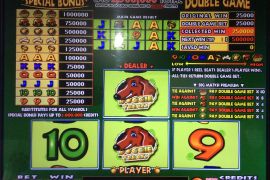 DOGGIE TREATS　250,000枚