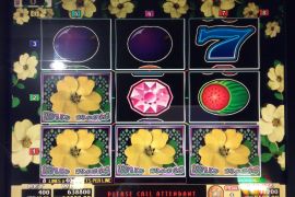 WILD ROSES THE MULTI GARDEN　638,800枚