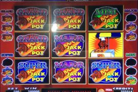 DOGGIE TREATS　500,000枚