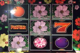 WILD ROSES THE MULTI GARDEN　229,200枚