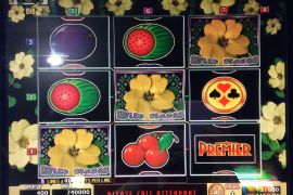 WILD ROSES THE MULTI GARDEN　740,000枚