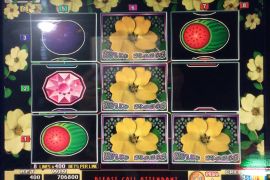 WILD ROSES THE MULTI GARDEN　706,800枚